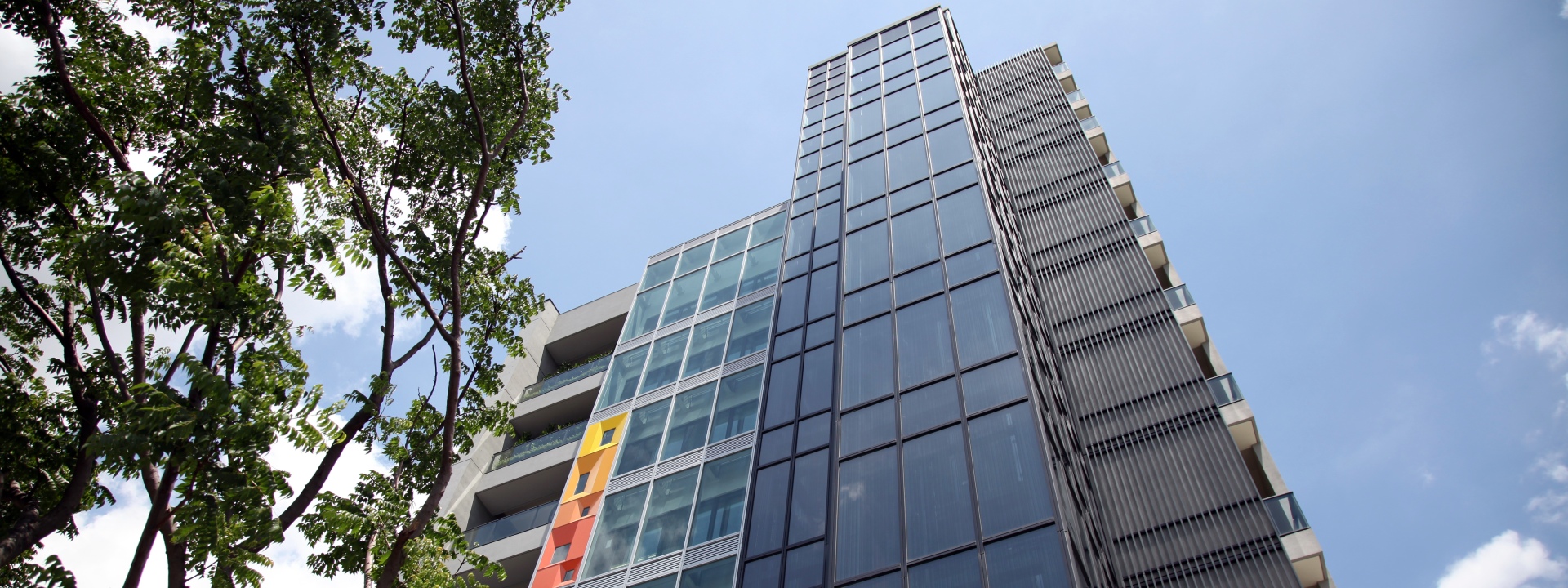 璞園建築團隊 搬新家了