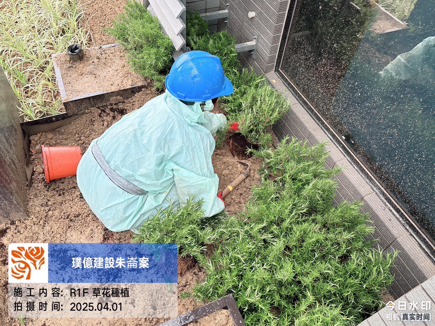璞園百聿 2025.04.01 R1F 草花種植