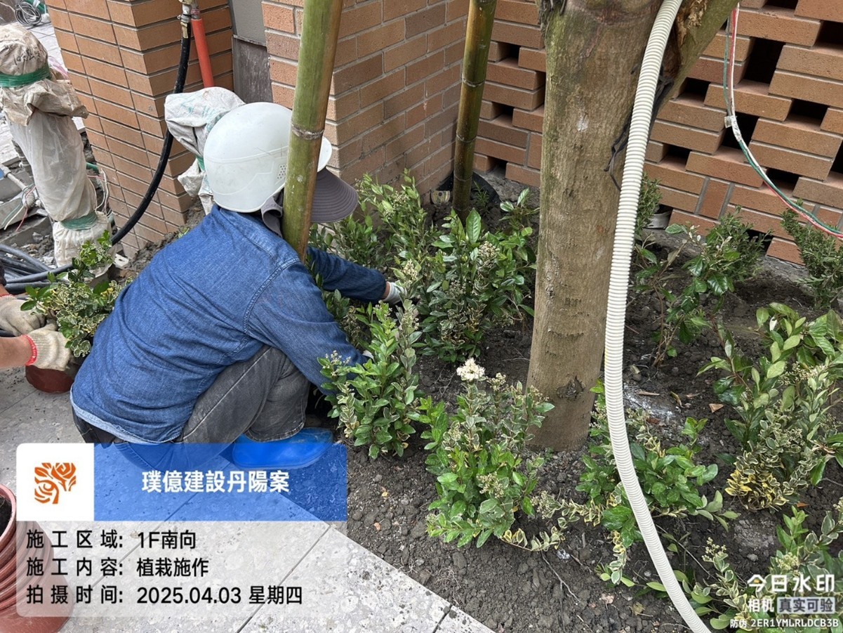 璞園丹陽 2025.04.03 1F 南向植栽施作