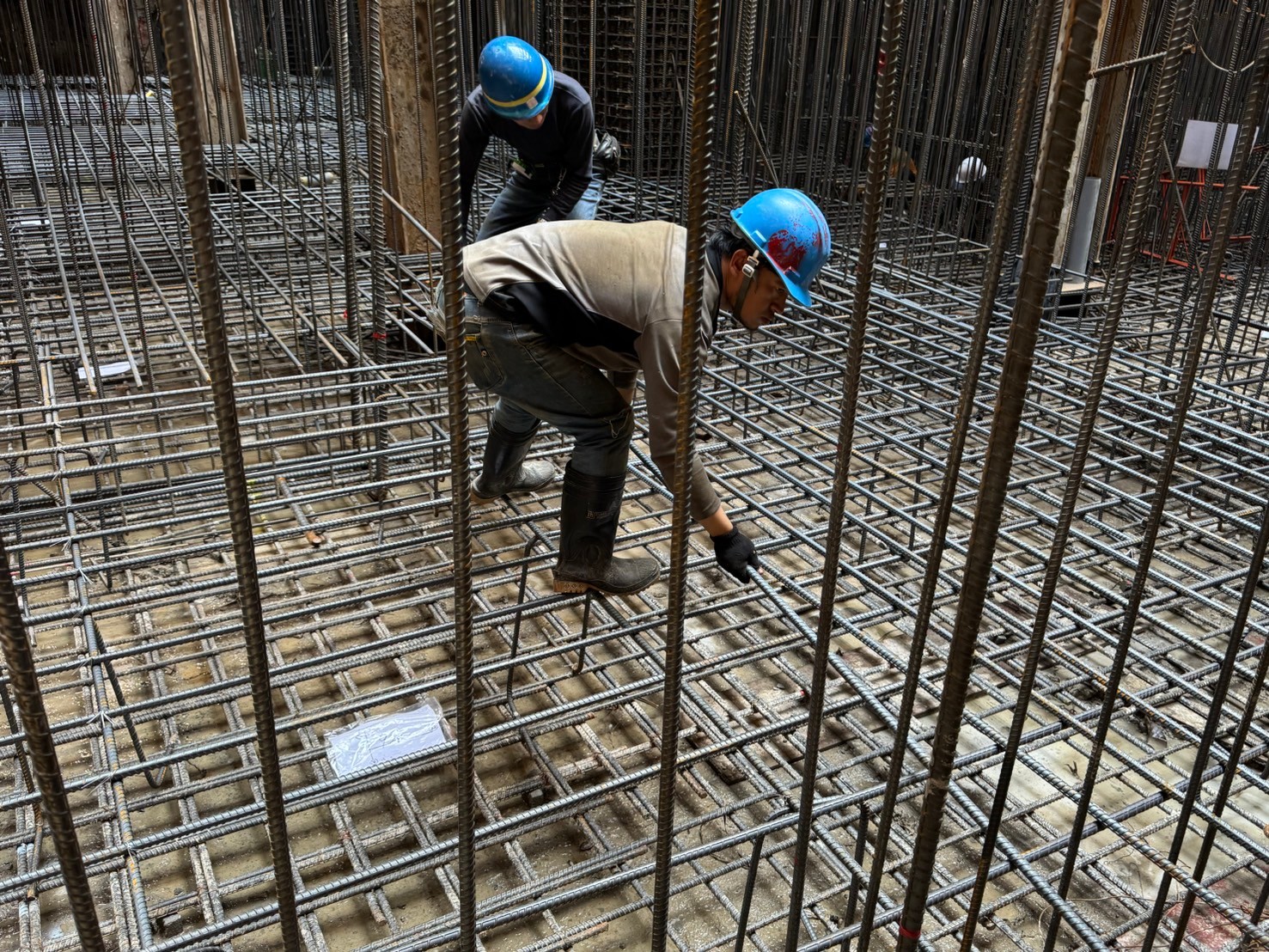 璞園泊隱 基礎版鋼筋綁紮